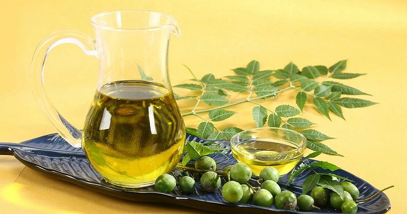Tác dụng của dầu neem trong cuộc sống hàng ngày 2