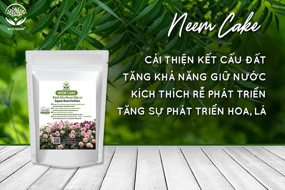 Bánh dầu neem